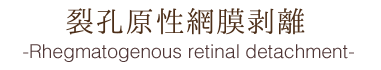 裂孔原性網膜剥離