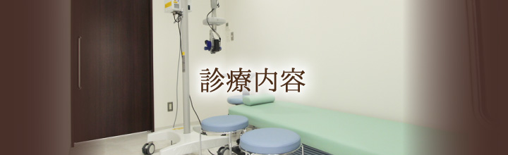 診療内容